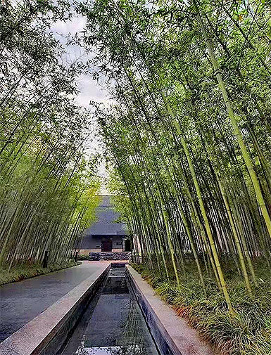 生態(tài)產(chǎn)區(qū)